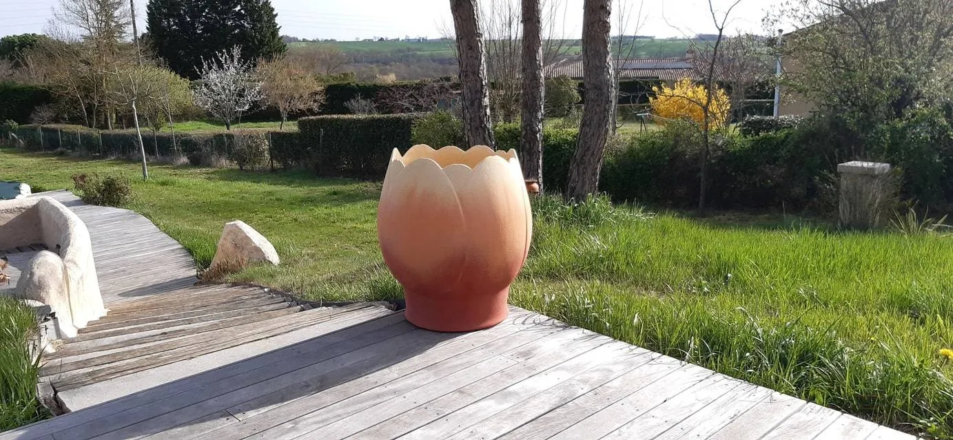 Produit selectionnée Tulipes